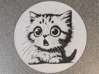 Shocked Cat Coaster 4