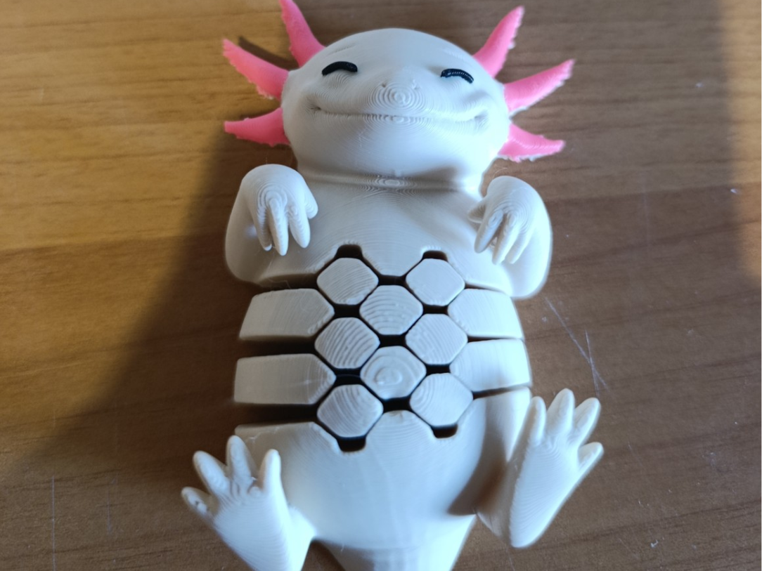 Articulated Axolotl – Cute Flexi Fidget 3D Print