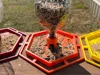 PETG-HF Bird Feeder 0.2mm layer, 4 walls, 15% infill