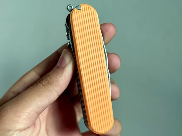 https://makerworld.bblmw.com/makerworld/model/USd80a3ac1ac0813/design/2025-06-02_3a5bf7d5f0136.jpeg
