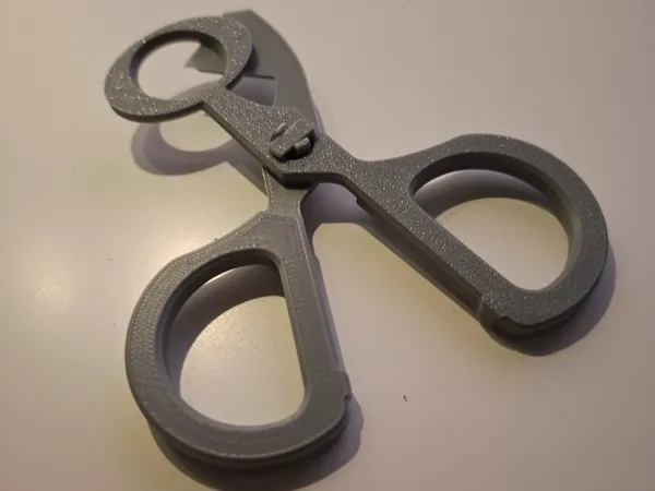 https://makerworld.bblmw.com/makerworld/model/USd8128234dbb54f/design/2025-08-19_75f9cbe184104.jpg