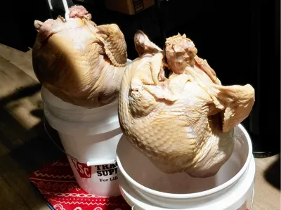 Turkey Hanger