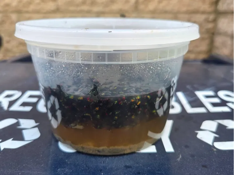 Simple and effective fly trap (not fruit flies)