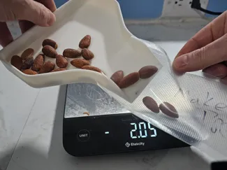 Bag Funnel Tray