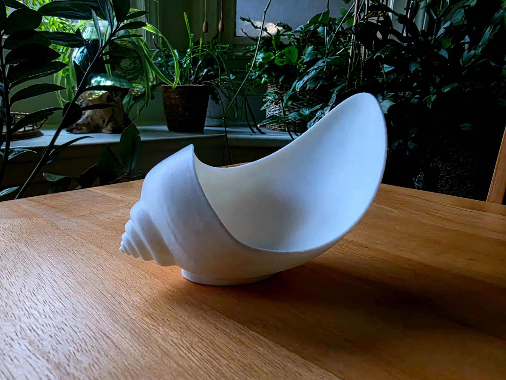 Conch Catch All Bowl