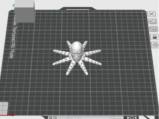 Rocktopus Smooth Timelapse
