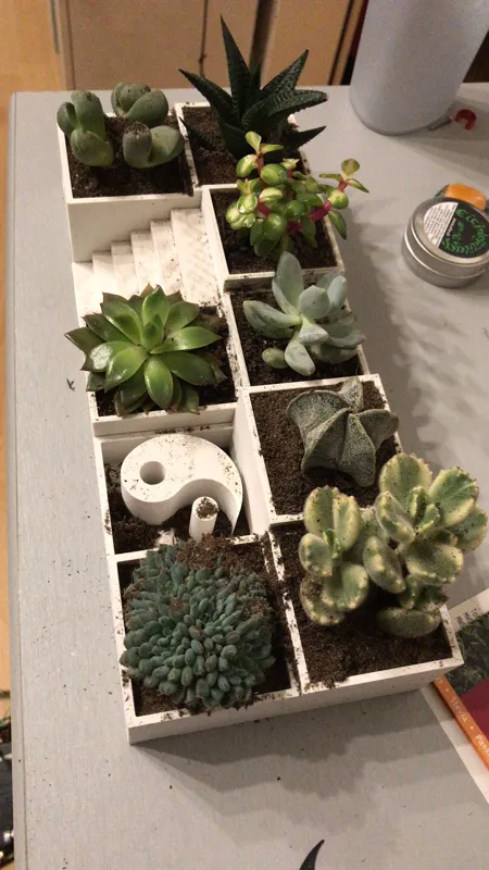 Zen Garden with Ying/Yang
