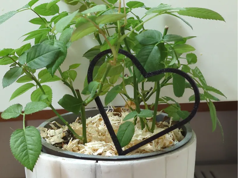 Cute Potted Plant Heart Decor