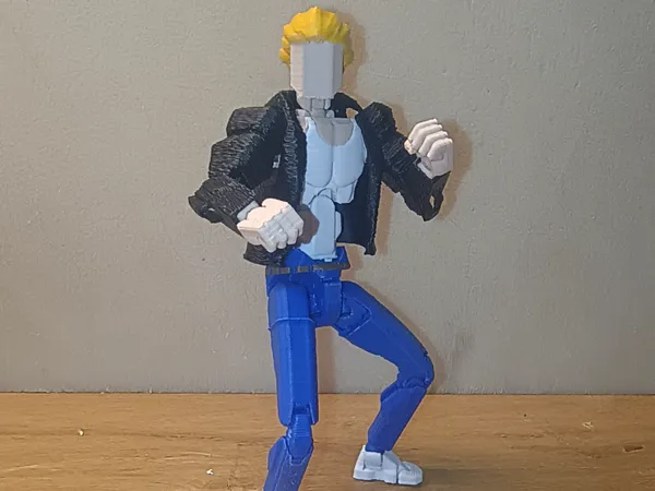 https://makerworld.bblmw.com/makerworld/model/USd84356f5e79a46/design/4cf77d3456ccded8.jpg