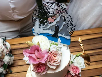 Star Wars Wedding cake topper