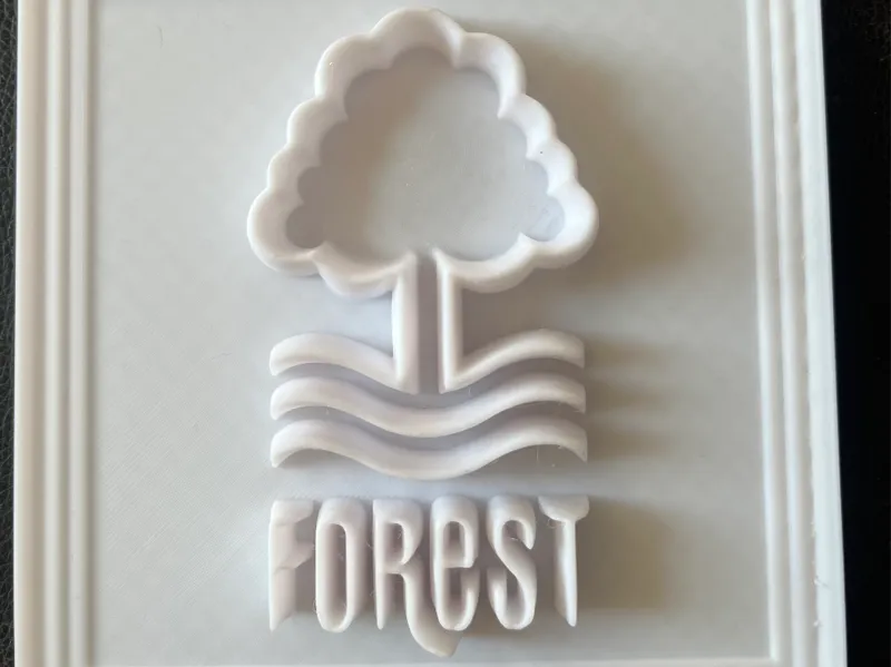 Nottingham Forest Framed Relief