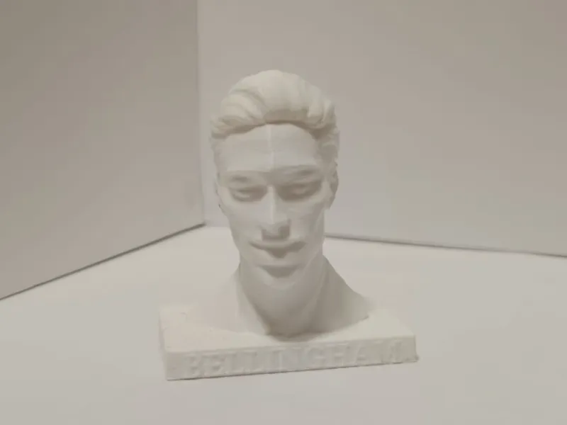 Estatua Bellingham