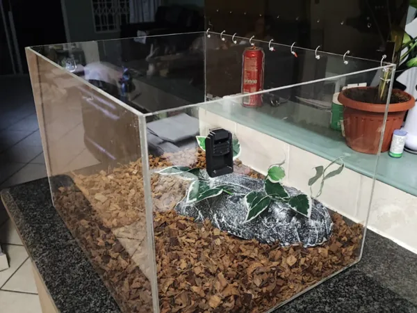 https://makerworld.bblmw.com/makerworld/model/USd84e7a8743b2e8/design/bb28da92012a5c55.jpg