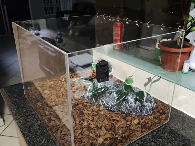 Reptile Enclosure Latch (Stick On version)