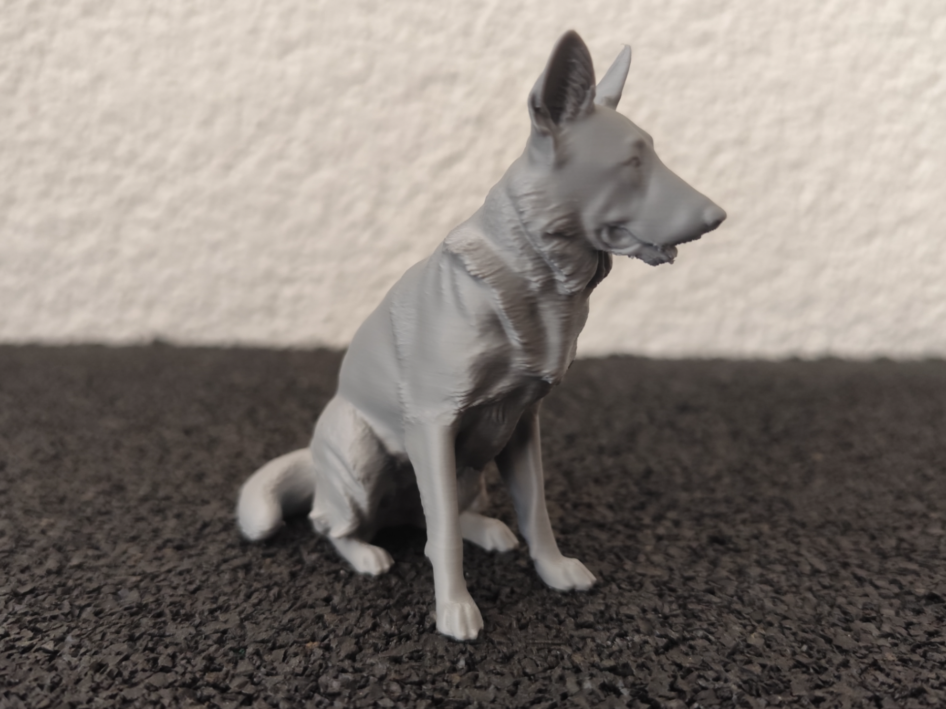 Sitting German Shepherd