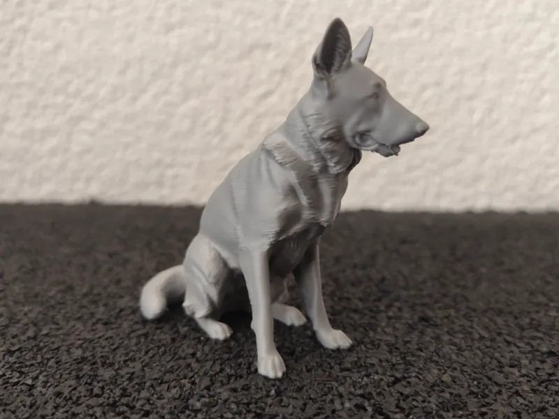 Sitting German Shepherd