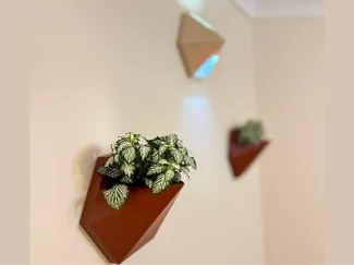 Modern Wall Planter & Lamp — Hexagon Low Poly