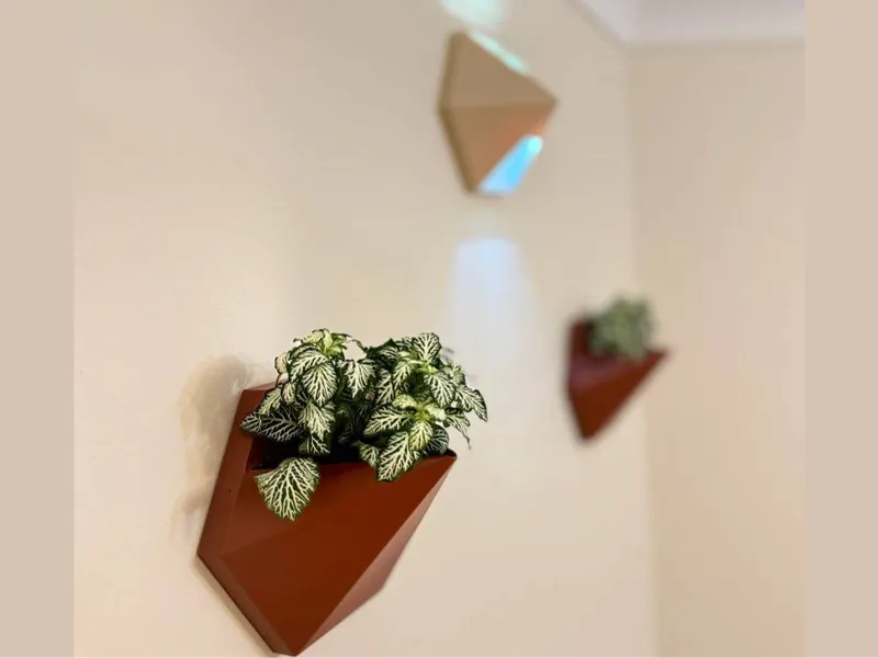 Modern Wall Planter & Lamp — Hexagon Low Poly