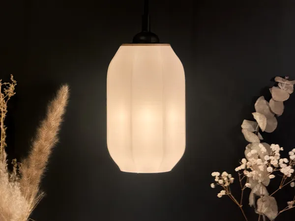 https://makerworld.bblmw.com/makerworld/model/USd85780d74272d3/design/2025-01-21_b6a4849a5d2ef.jpeg