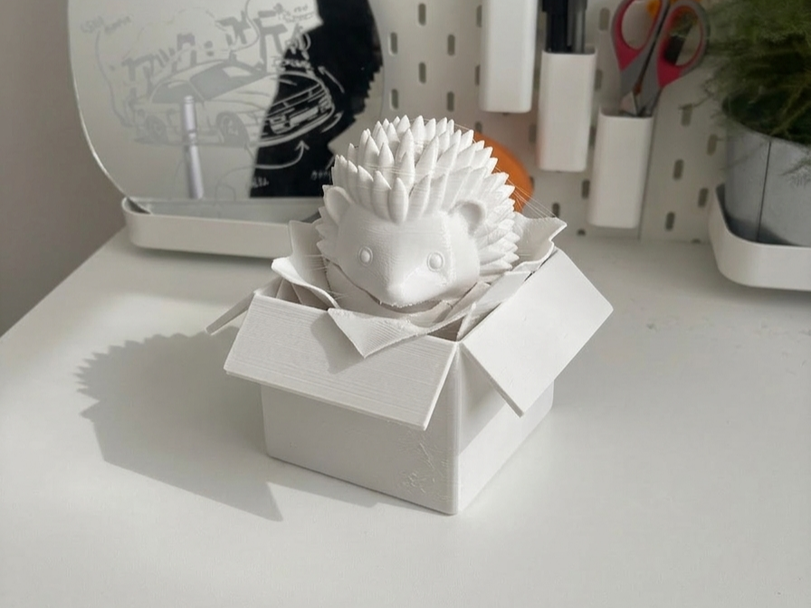 Cute Hedgehog in a Box | Adorable Desk Pet
