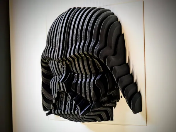 https://makerworld.bblmw.com/makerworld/model/USd865c5ee2604b5/design/2025-02-12_5ce8f8e20719e.jpg