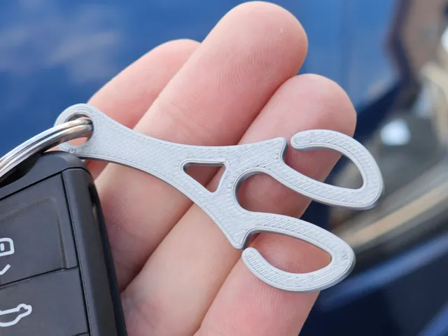 Shopping Cart Key - Adaptable and removeable