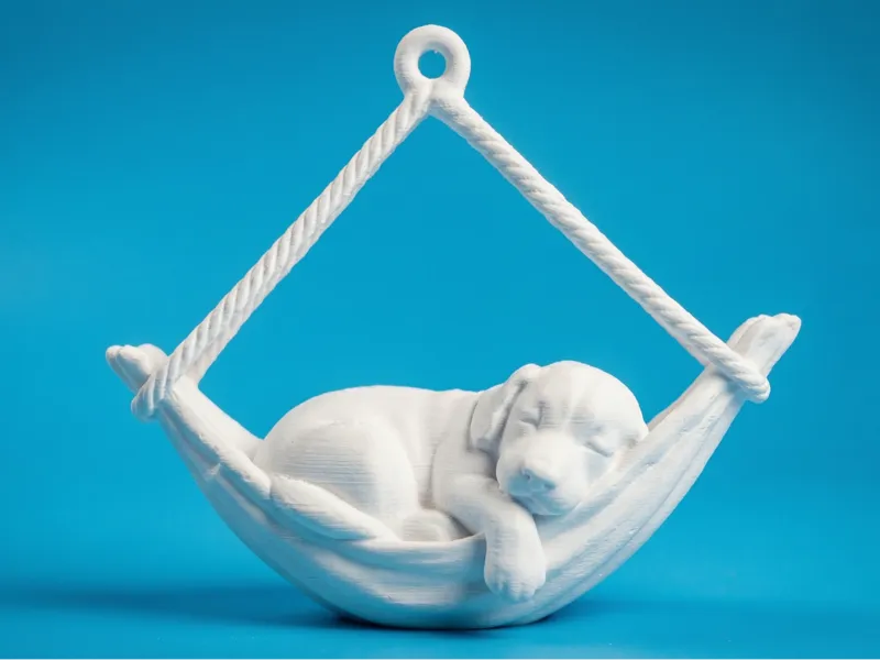 Dog on a Hammock