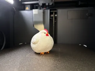 FAT Chicken
