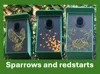 PETG - Sparrows and redstarts birdhouse