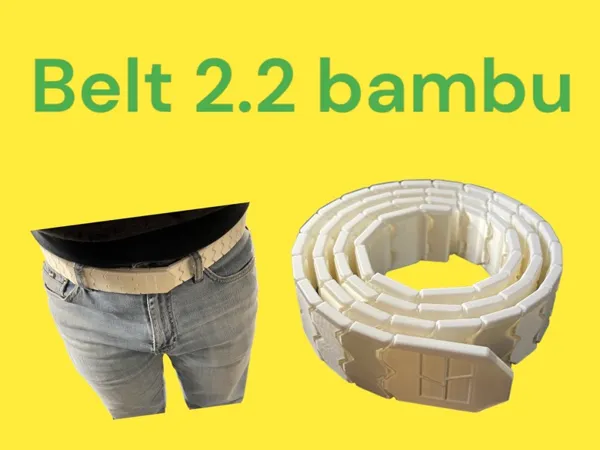 https://makerworld.bblmw.com/makerworld/model/USd8758dae71ba37/design/2024-03-12_f078e04a23f02.jpg