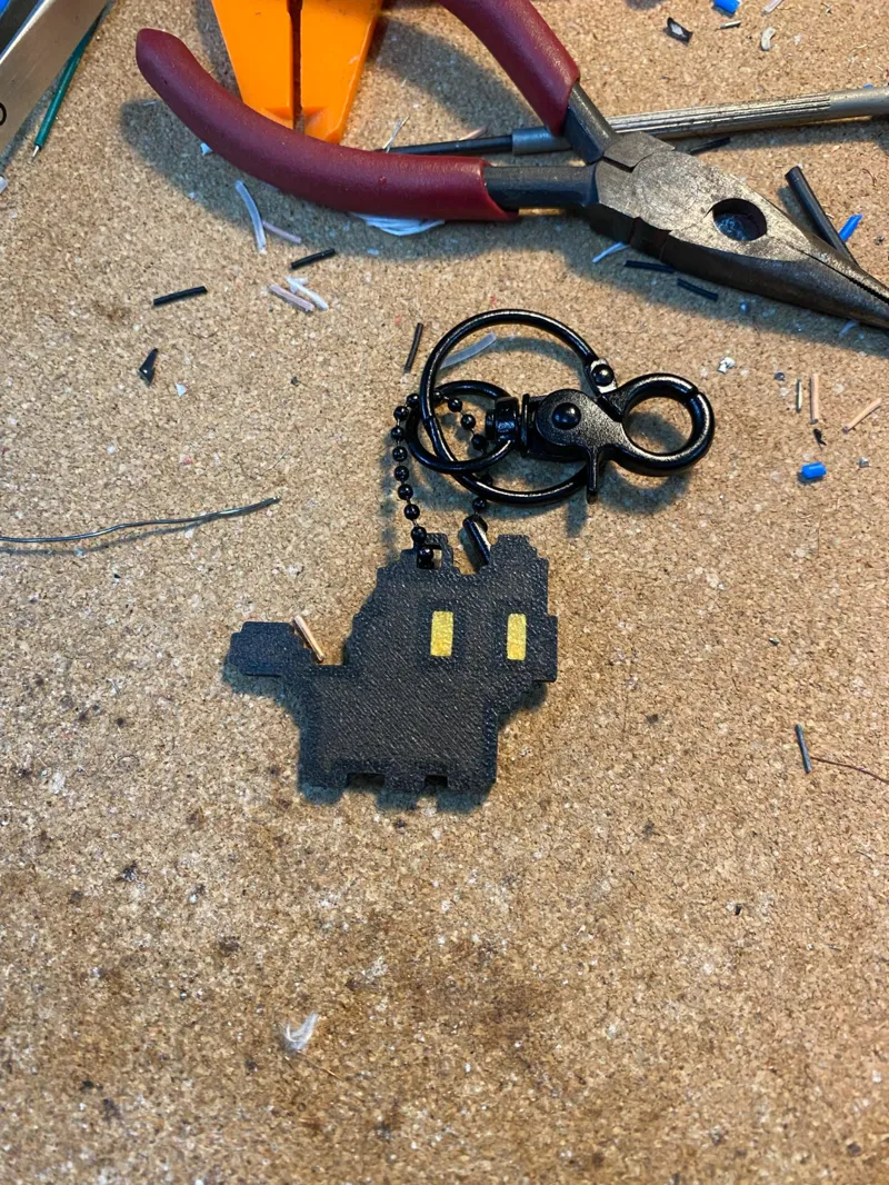 #19 Black cat key chain
