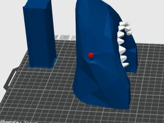 Shark  Head