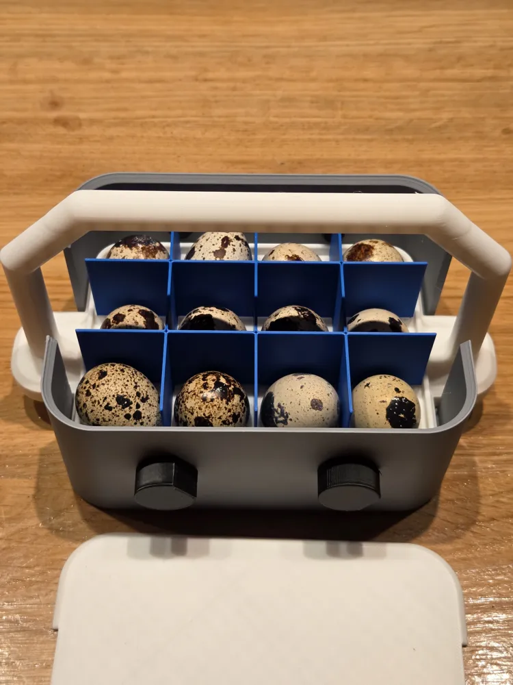 Quail Egg Holder Box - Add On - Free 3D Print Model - MakerWorld