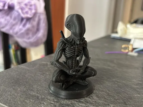 https://makerworld.bblmw.com/makerworld/model/USd87f65fc59302b/design/2025-07-04_8036c6ee976198.jpg
