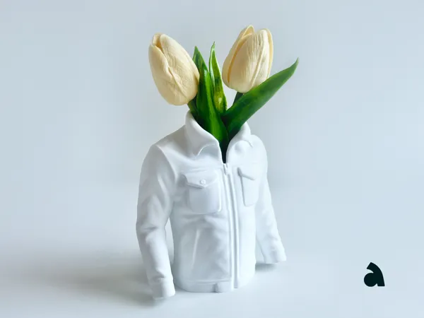 https://makerworld.bblmw.com/makerworld/model/USd87fb5eb822d0f/design/2025-06-29_65dfae11b2af18.jpg