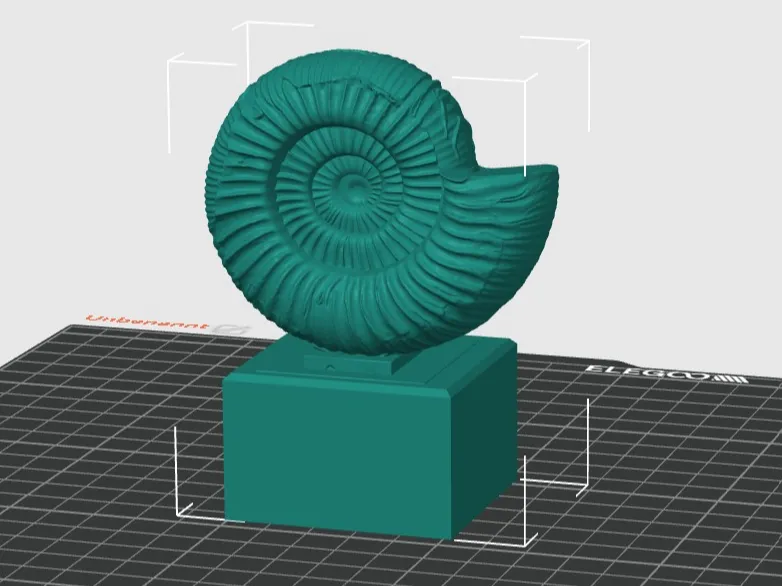 Ammonit Fossil Skulptur 