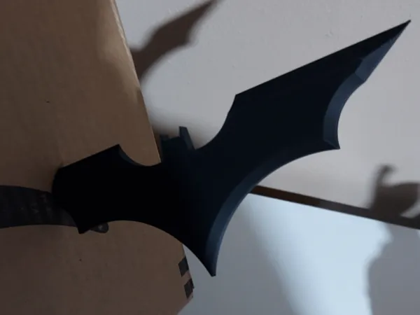 https://makerworld.bblmw.com/makerworld/model/USd882085a9f8f76/design/2025-02-27_9091043d2c9be.jpg