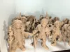 Characters 2