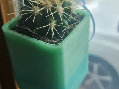 micro manager mini suction window planter