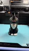 0.16mm layer, 2 walls, 15% infill