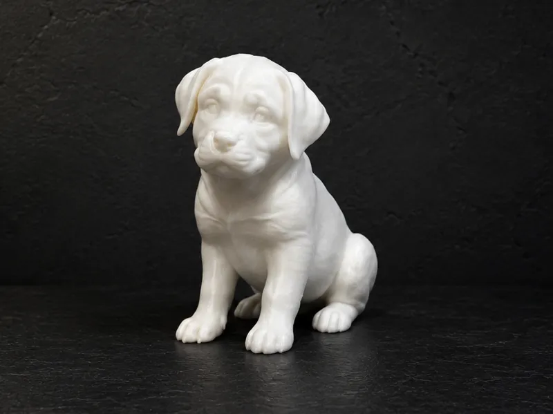 Rottweiler Puppy - Dog - Animal 