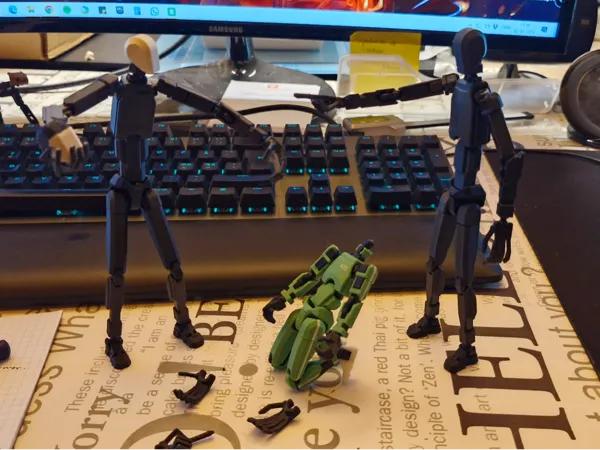 https://makerworld.bblmw.com/makerworld/model/USd88559389985e6/design/2025-02-02_725416652f839.jpg