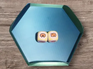 Hexagon dice tray