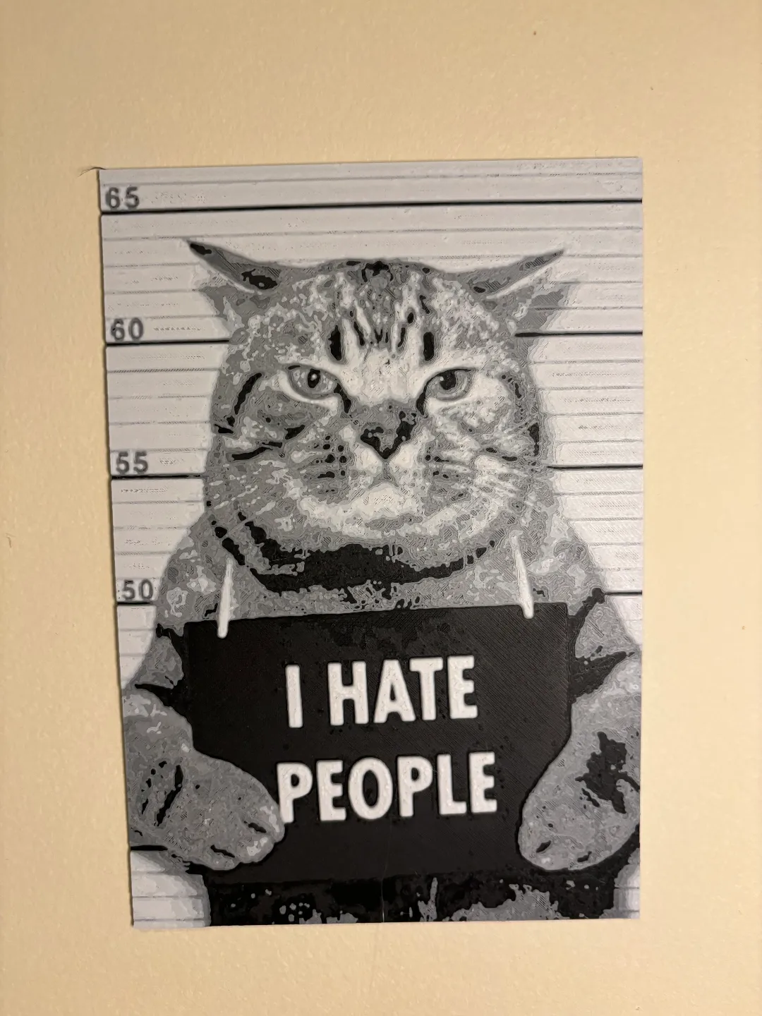 hueforge cat view 3
