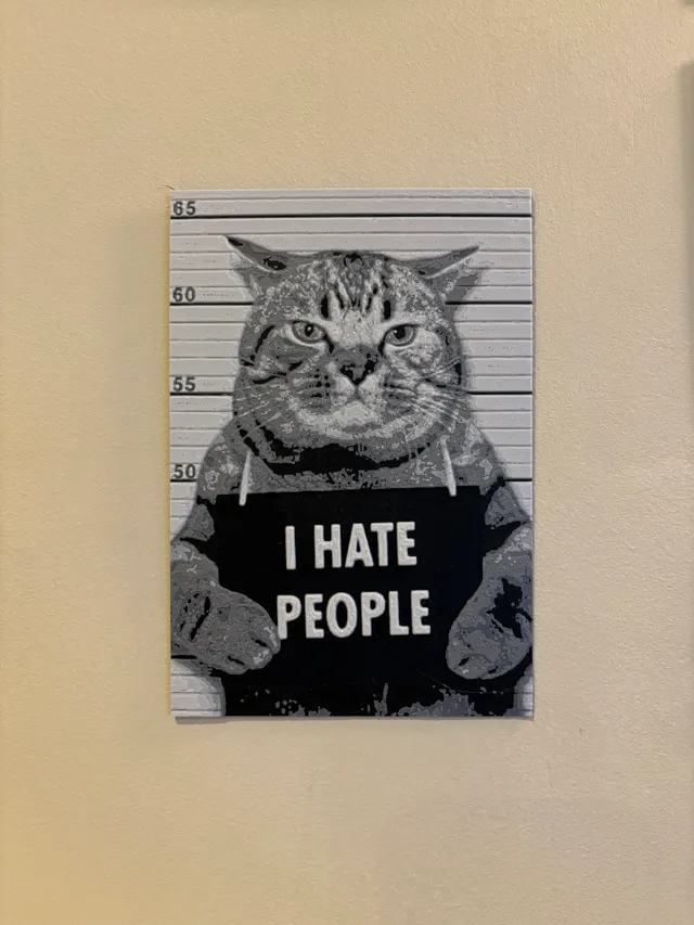 hueforge cat