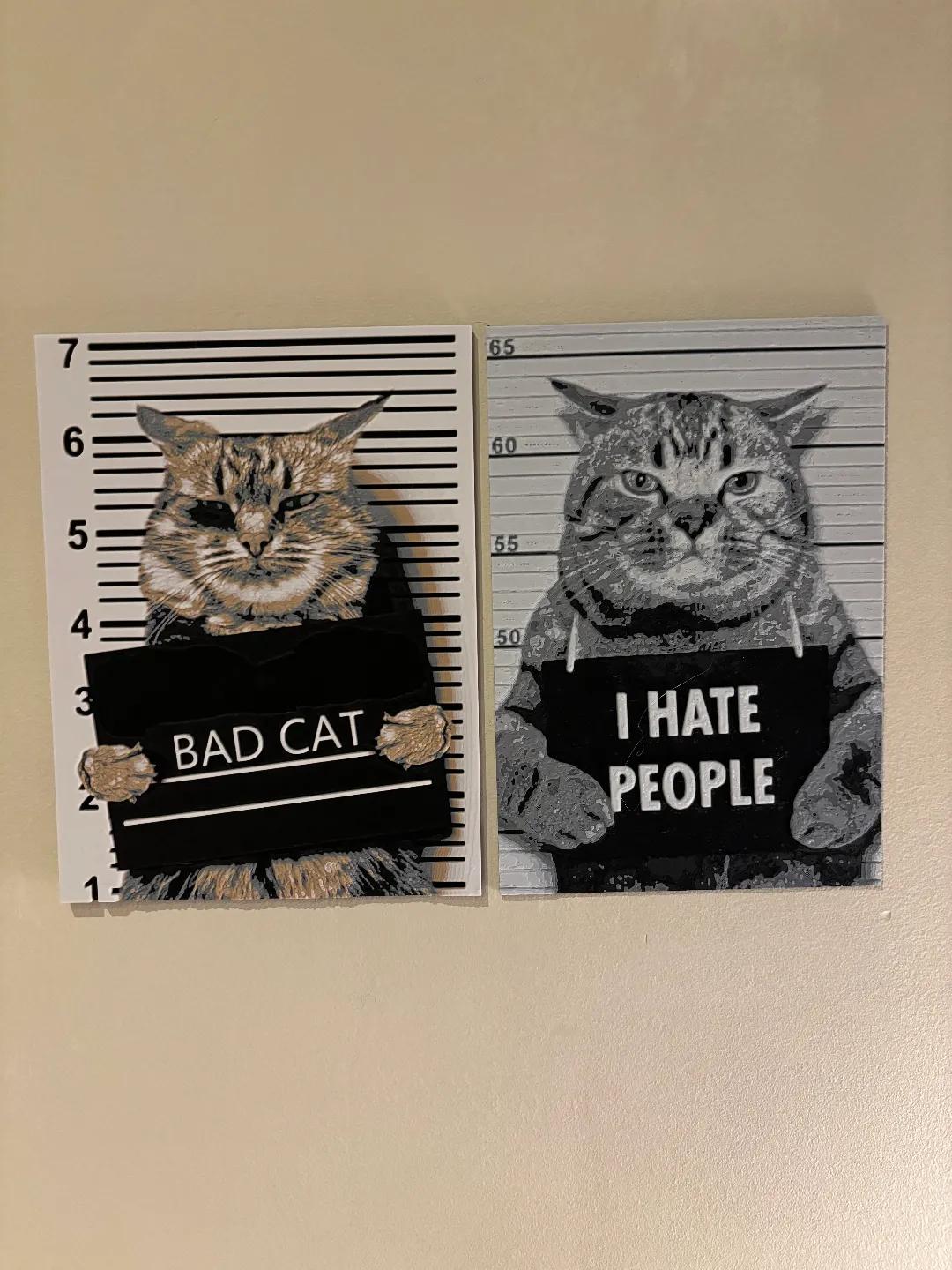 hueforge cat view 4