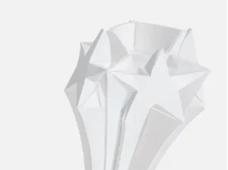 Critic award