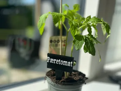 Kitchen garden sign for your Pæretomat