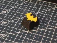 0.08mm layer, 2 walls, 15% infill