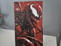 0.08mm layer, 2 walls, 100% infill
